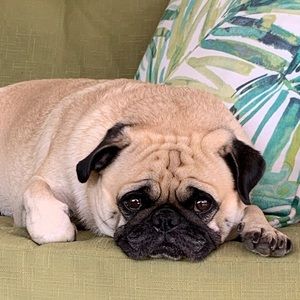 Meet your Posher, Natalee